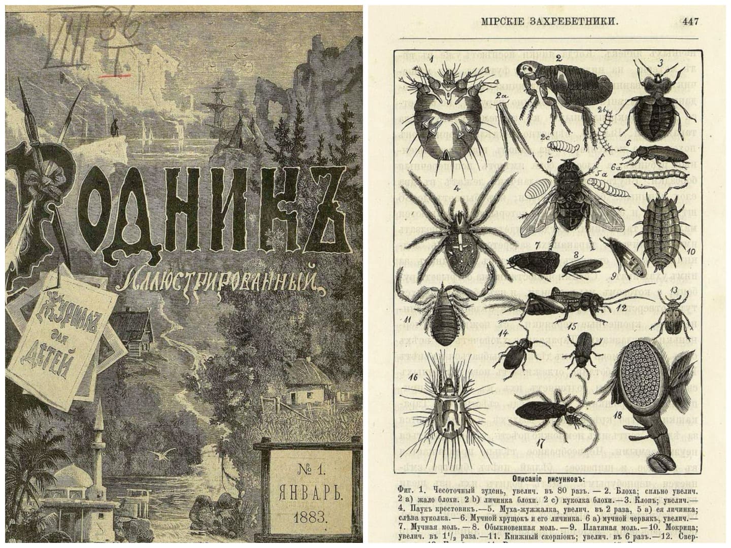 Журнал Родник. Подшивка за 1883 год