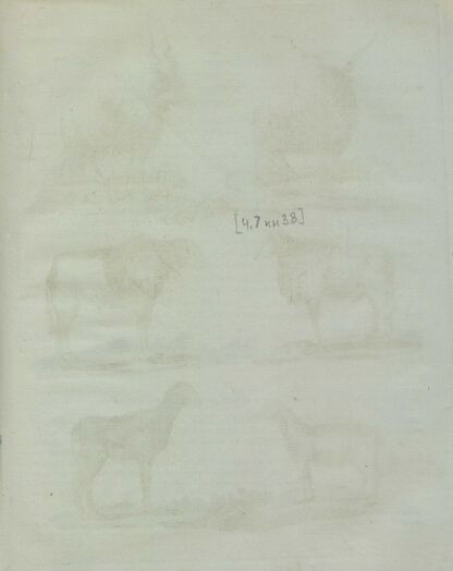 Детский музеум, или Собрание изображений животных, растений, цветов, плодов, минералов, одежд разных народов в свойственном их виде, древностей и других предметов, служащих для наставления и забавы юношества, составленное и гравированное по лучшим образцам, с кратким изъяснением соответственным понятию детей. Часть седьмая. [Книга тридцать восьмая]