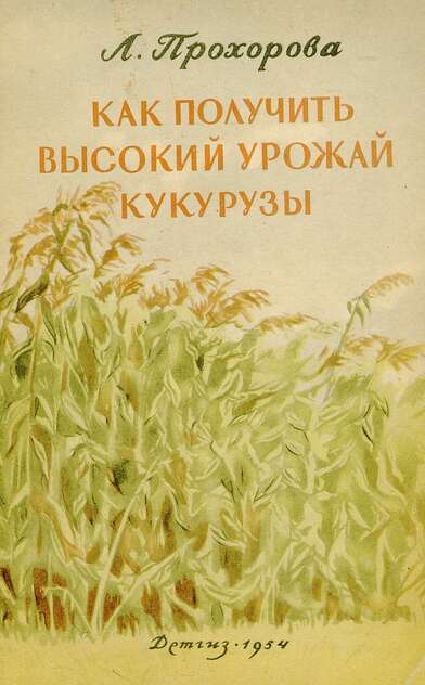 Как получить высокий урожай кукурузы