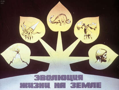 Эволюция жизни на земле. Жизнь как этап развития материи