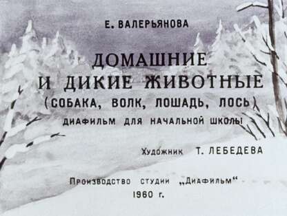 Валерьянова Екатерина Александровна - Домашние и дикие животные (собака, волк, лошадь, лось) - 1960