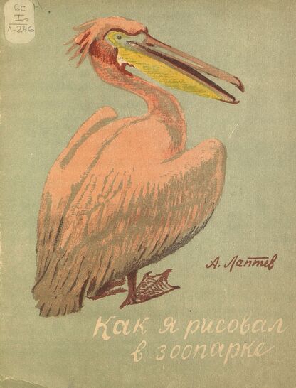 Как я рисовал зоопарк