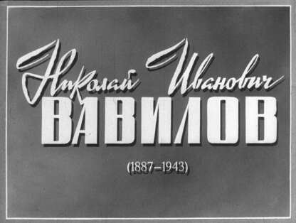 Николай Иванович Вавилов (1887-1943)