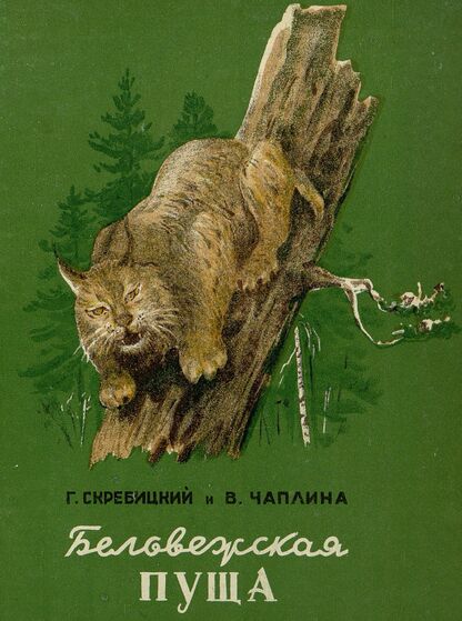 Беловежская Пуща