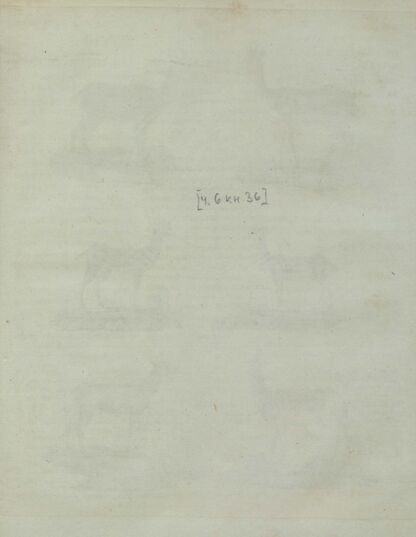 Детский музеум, или Собрание изображений животных, растений, цветов, плодов, минералов, одежд разных народов в свойственном их виде, древностей и других предметов, служащих для наставления и забавы юношества, составленное и гравированное по лучшим образцам, с кратким изъяснением соответственным понятию детей. Часть шестая. [Книга тридцать шестая]