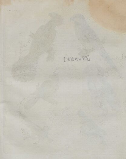 Детский музеум, или Собрание изображений животных, растений, цветов, плодов, минералов, одежд разных народов в свойственном их виде, древностей и других предметов, служащих для наставления и забавы юношества, составленное и гравированное по лучшим образцам, с кратким изъяснением соответственным понятию детей. Часть тринадцатая. [Книга семьдесят третья] - 1823