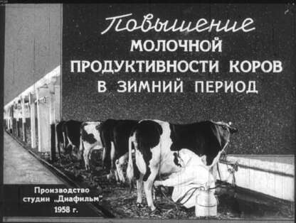 Повышение молочной продуктивности коров в зимний период - 1958