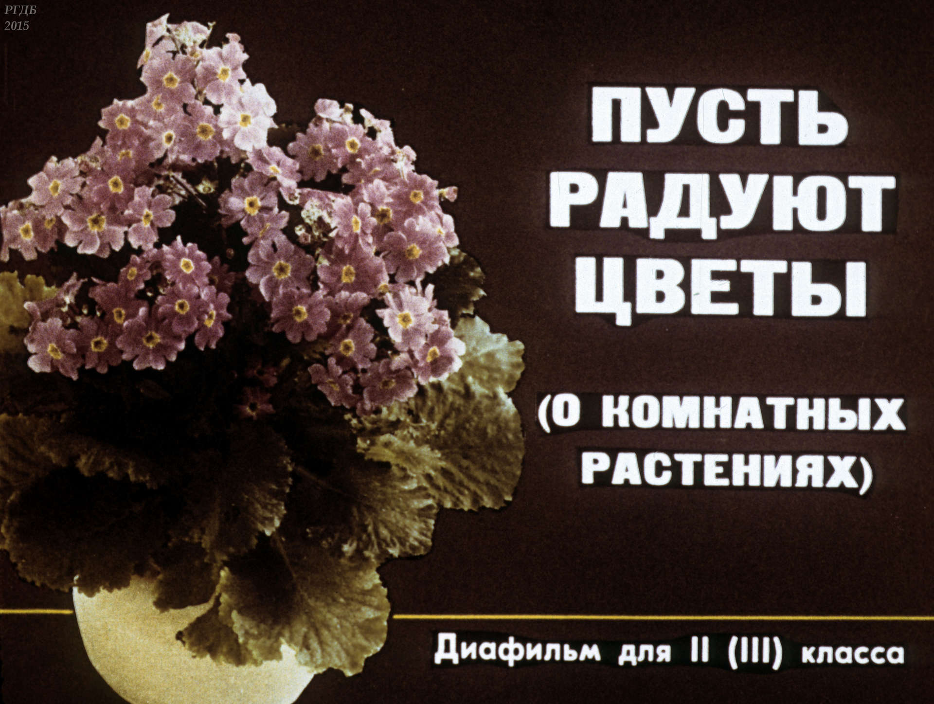 Сергеева Валентина Александровна - Пусть радуют цветы (о комнатных растениях) - 1990