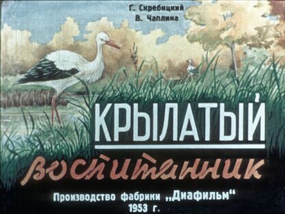 Крылатый воспитанник