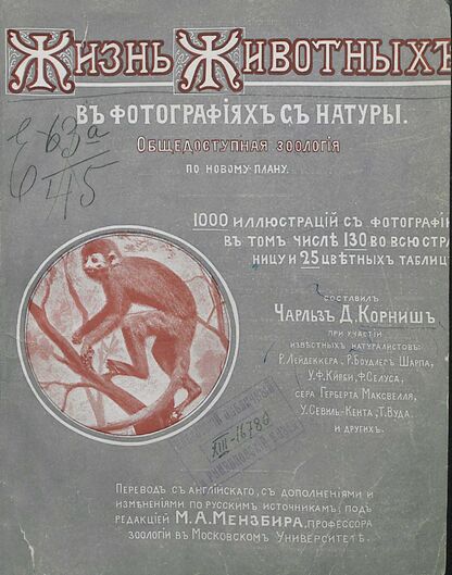 Жизнь животных в фотографиях с натуры. Общедоступная зоология. Том первый