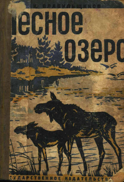 Лесное озеро