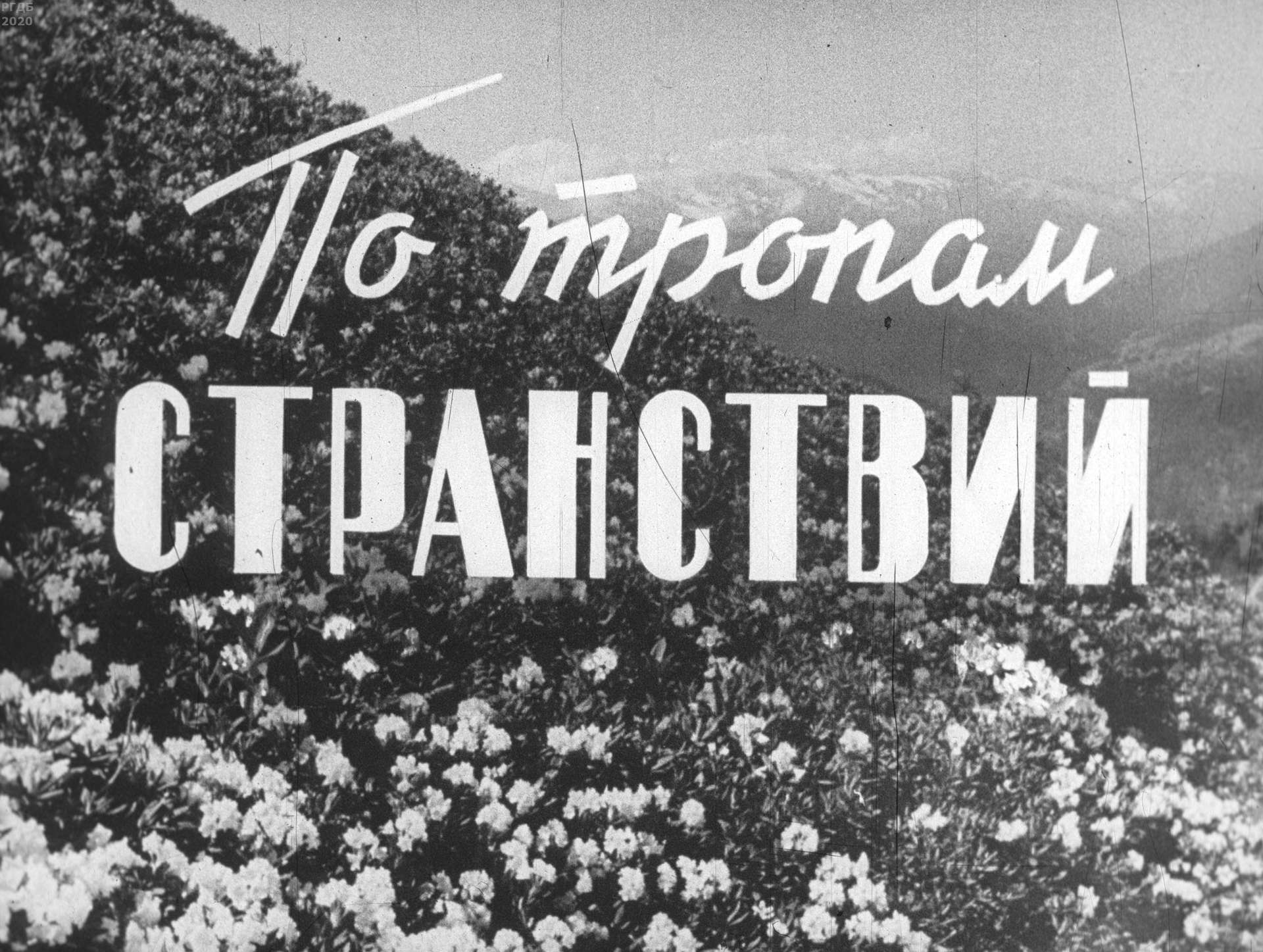 Ущелье уч кош ялта. Путешествие по лесным тропинкам. Заколдованная осень ясно. Ущелье уч кош ялта. Рассказ лесные тропинки.