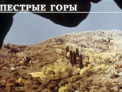 Лыскина Л. В. - Пестрые горы - 1988