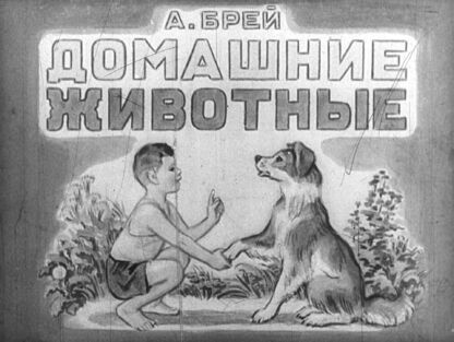 Домашние животные