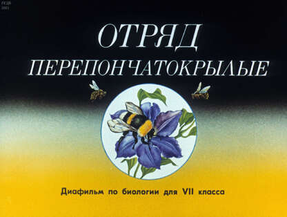 Константинов Владимир Михайлович - Отряд перепончатокрылые - 1990