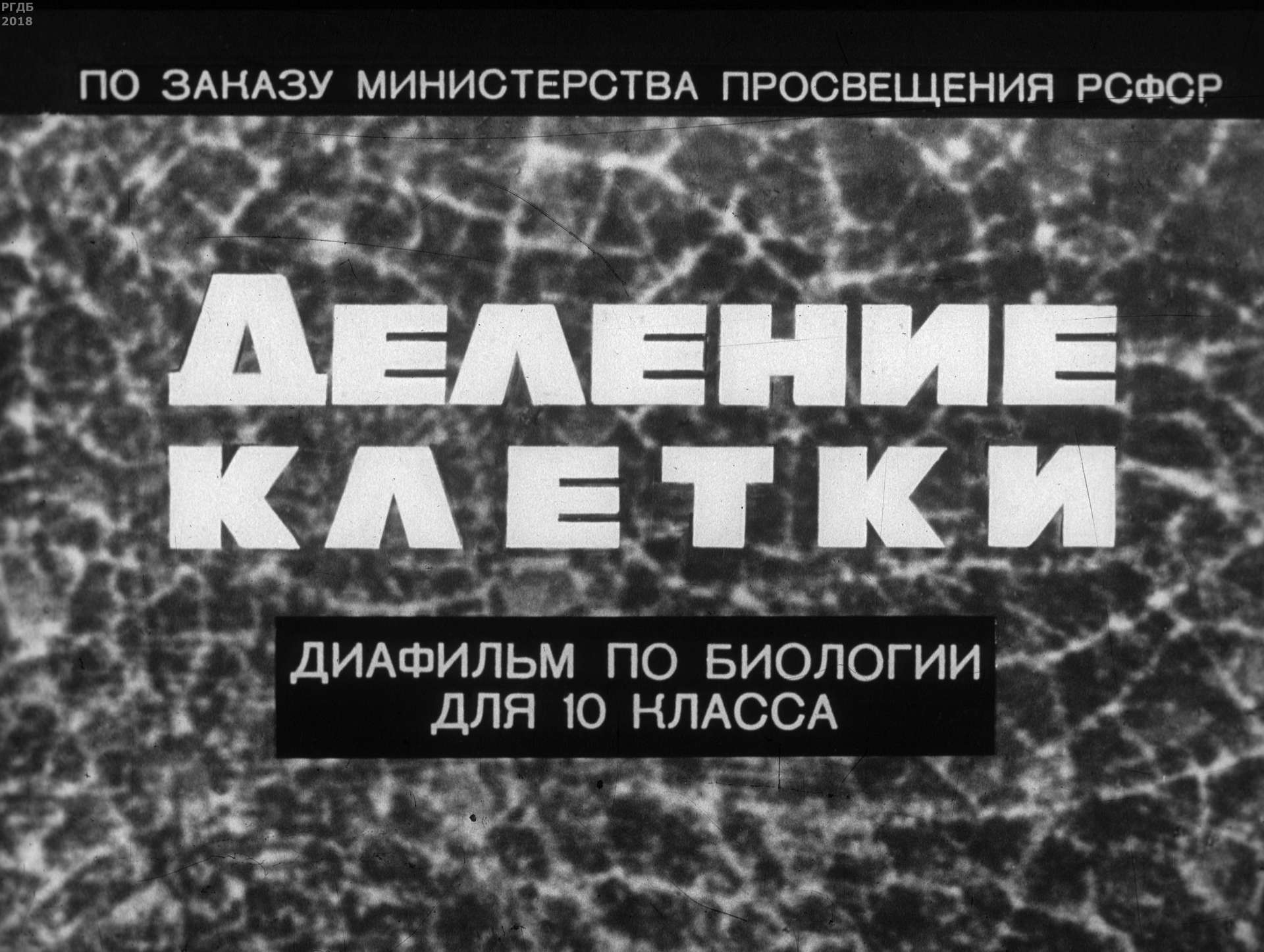 Орлов Владимир Натанович - Деление клетки - 1967