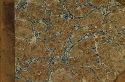 Обезьяна - проказница