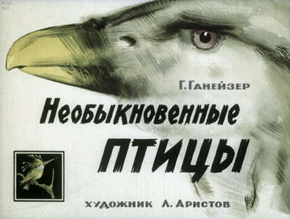 Необыкновенные птицы