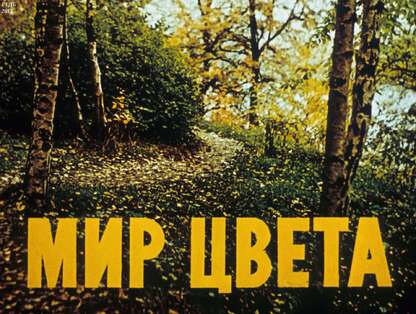 Мир цвета