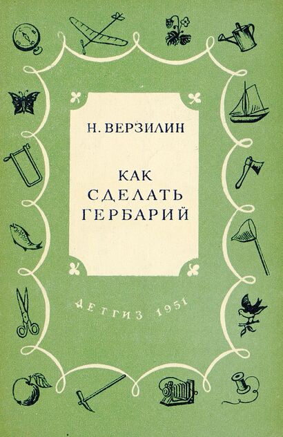 Как сделать гербарий