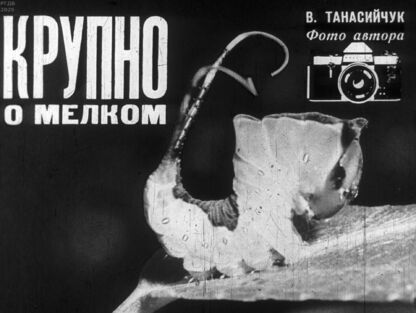 Крупно о мелком