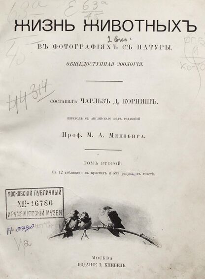 Жизнь животных в фотографиях с натуры. Общедоступная зоология. Том второй