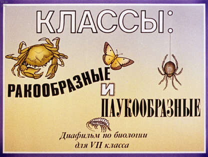 Классы: ракообразные и паукообразные