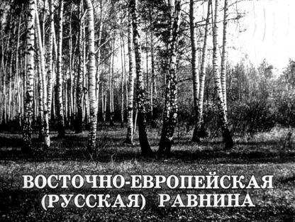 Восточно-Европейская (Русская) равнина