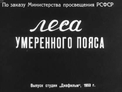 Леса умеренного пояса - 1953