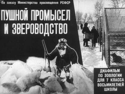 Пушной промысел и звероводство