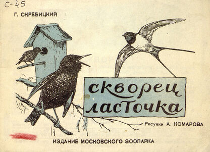 Скворец. Ласточка