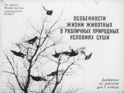 Особенности жизни животных в разных природных условиях суши