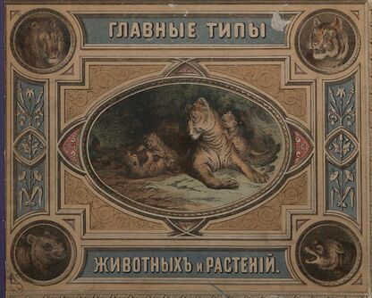 Главные типы животных и растений для наглядного обучения детей