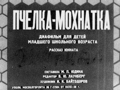 Пчелка-мохнатка