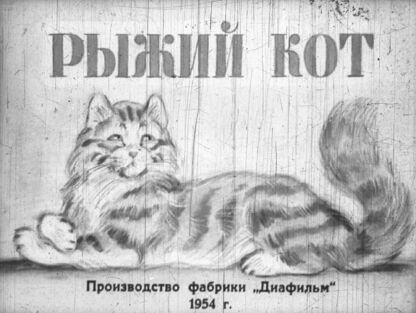 Рыжий кот