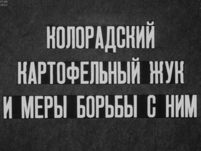 Колорадский картофельный жук и меры борьбы с ним