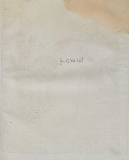 Детский музеум, или Собрание изображений животных, растений, цветов, плодов, минералов, одежд разных народов в свойственном их виде, древностей и других предметов, служащих для наставления и забавы юношества, составленное и гравированное по лучшим образцам, с кратким изъяснением соответственным понятию детей. Часть тринадцатая. [Книга семьдесят вторая] - 1823