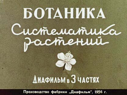 Исаин В. - Ботаника - 1956