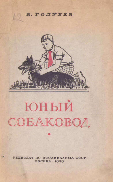 Голубев В. - Юный собаковод - 1939