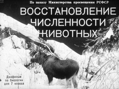 Восстановление численности животных