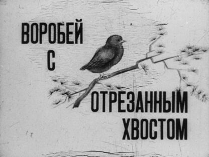 Воробей с отрезанным хвостом