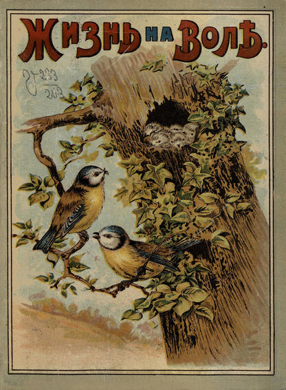 Жизнь на воле
